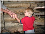 IMG_4761.JPG