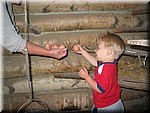 IMG_4762.JPG