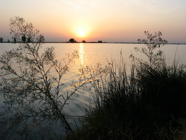IMG_6587.JPG