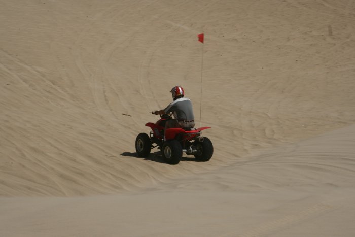 _MG_5087.jpg