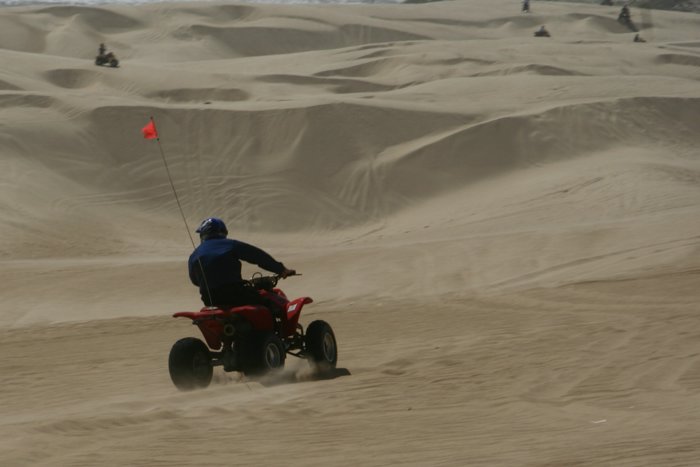 _MG_5096.jpg