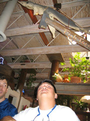 img_0017.jpg