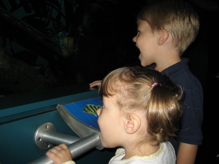 IMG_2860.JPG