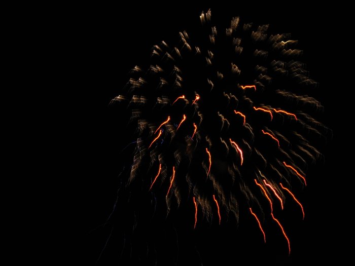 IMG_5008.JPG