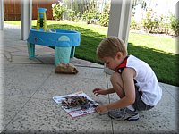 IMG_4964.JPG