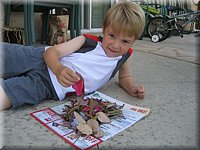 IMG_4970.JPG