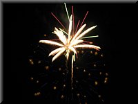 IMG_5000.JPG