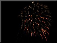 IMG_5008.JPG