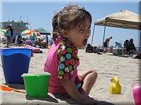 IMG_5013.JPG