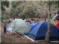 IMG_7233.JPG