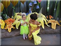 IMG_7393.JPG