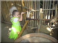 IMG_7411.JPG