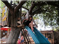 IMG_1157.jpg
