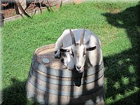IMG_1164.jpg