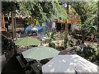 IMG_1170.jpg