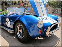 IMG_1176.jpg