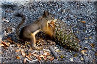 IMG_2135.jpg