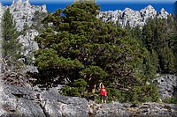 IMG_2143.jpg
