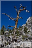IMG_2146.jpg