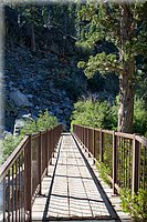 IMG_2158.jpg