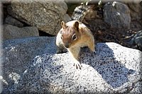 IMG_2170.jpg