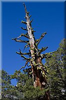 IMG_2172.jpg