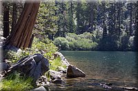 IMG_2203.jpg