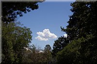 IMG_2212.jpg