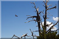 IMG_2218.jpg