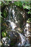 IMG_2219.jpg