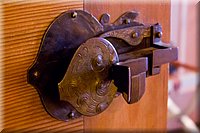 IMG_2242.jpg