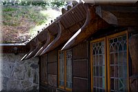 IMG_2246.jpg