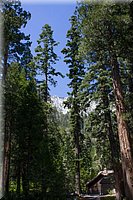 IMG_2253.jpg