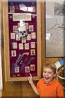 IMG_2262.jpg