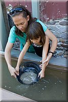 IMG_2271.jpg