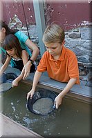 IMG_2272.jpg