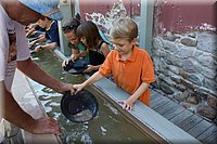 IMG_2275.jpg