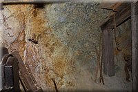 IMG_2311.jpg