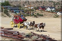 IMG_2319.jpg