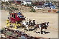 IMG_2320.jpg