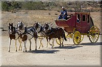 IMG_2327.jpg