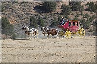 IMG_2329.jpg