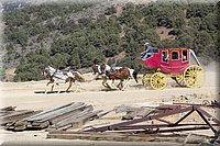 IMG_2334.jpg