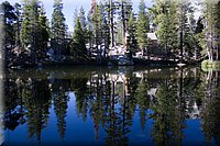 IMG_2340.jpg