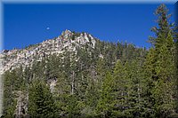 IMG_2341.jpg