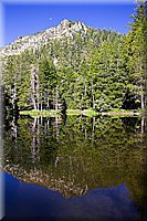 IMG_2342_pe.jpg