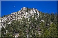 IMG_2343.jpg