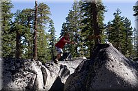 IMG_2350.jpg