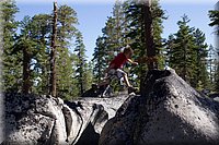 IMG_2351.jpg