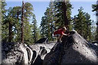 IMG_2352.jpg